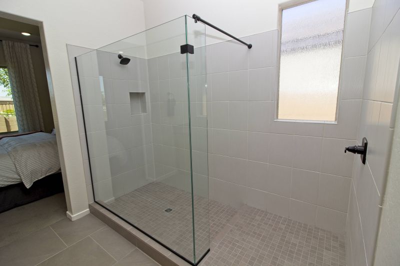Modern Minimalist Shower